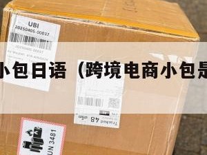 跨境电商小包日语（跨境电商小包是什么意思）