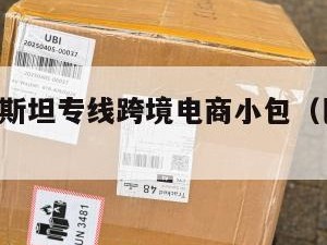 广东巴基斯坦专线跨境电商小包（巴基斯坦 广州）