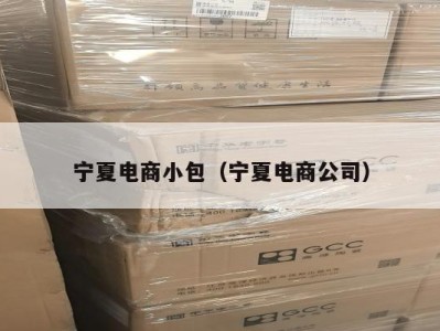 宁夏电商小包（宁夏电商公司）