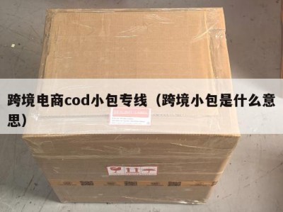 跨境电商cod小包专线（跨境小包是什么意思）