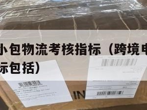 跨境电商小包物流考核指标（跨境电商小包物流考核指标包括）