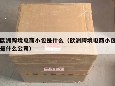欧洲跨境电商小包是什么（欧洲跨境电商小包是什么公司）