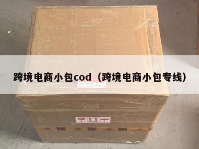 跨境电商小包cod（跨境电商小包专线）