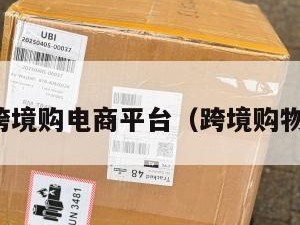跨境购电商平台（跨境购物）