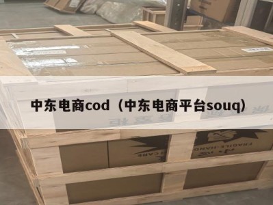 中东电商cod（中东电商平台souq）