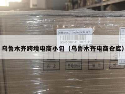 乌鲁木齐跨境电商小包（乌鲁木齐电商仓库）