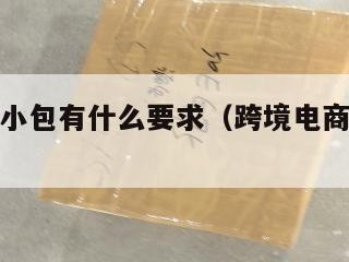 跨境电商小包有什么要求（跨境电商小包如何清关）