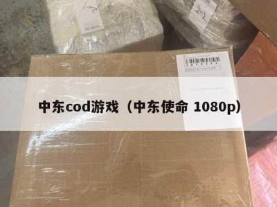 中东cod游戏（中东使命 1080p）