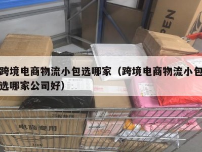 跨境电商物流小包选哪家（跨境电商物流小包选哪家公司好）