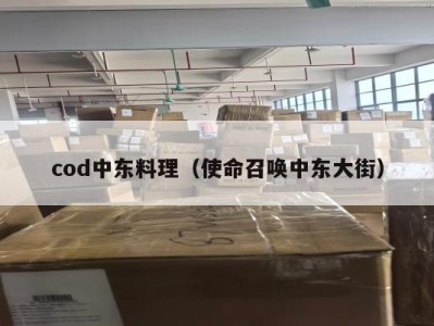 cod中东料理（使命召唤中东大街）