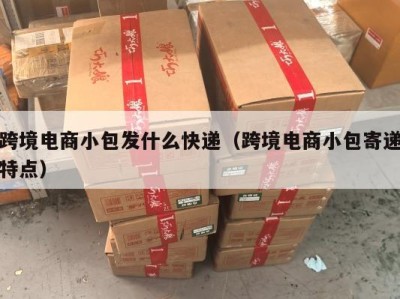 跨境电商小包发什么快递（跨境电商小包寄递特点）