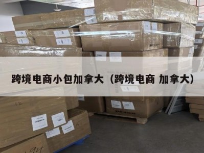 跨境电商小包加拿大（跨境电商 加拿大）