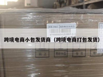 跨境电商小包发货商（跨境电商打包发货）