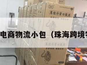 珠海跨境电商物流小包（珠海跨境物流公司）