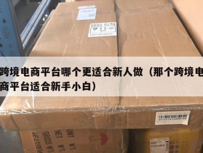 跨境电商平台哪个更适合新人做（那个跨境电商平台适合新手小白）