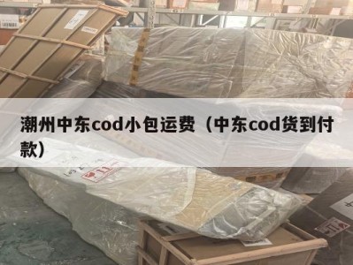 潮州中东cod小包运费（中东cod货到付款）