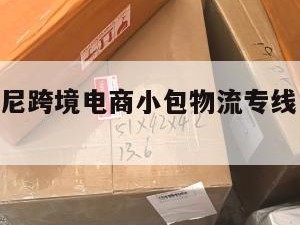 宁德发印尼跨境电商小包物流专线（宁德 印尼）