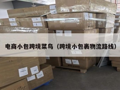 电商小包跨境菜鸟（跨境小包裹物流路线）