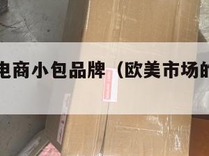 欧美跨境电商小包品牌（欧美市场的跨境电商平台）