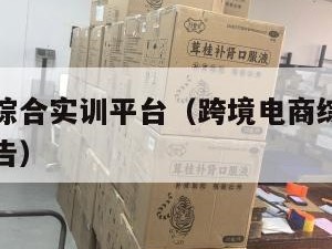 跨境电商综合实训平台（跨境电商综合实训平台实验报告）