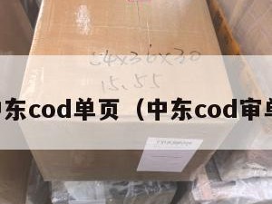 中东cod单页（中东cod审单）