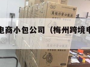 梅州跨境电商小包公司（梅州跨境电商小包公司有哪些）