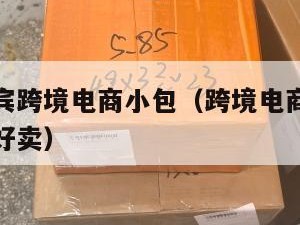 正规菲律宾跨境电商小包（跨境电商菲律宾卖什么比较好卖）