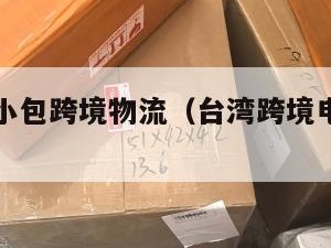 台湾电商小包跨境物流（台湾跨境电商热销产品最新）