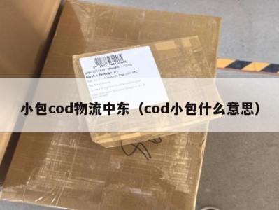 小包cod物流中东（cod小包什么意思）