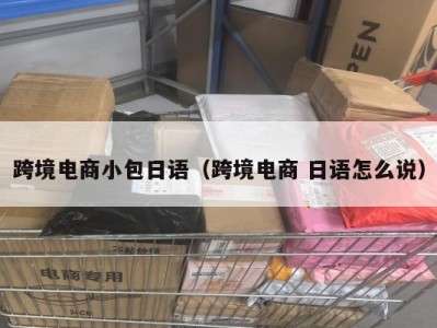 跨境电商小包日语（跨境电商 日语怎么说）