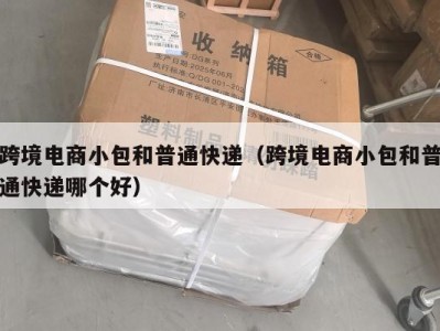 跨境电商小包和普通快递（跨境电商小包和普通快递哪个好）