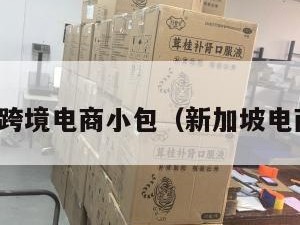 新加坡跨境电商小包（新加坡电商平台）