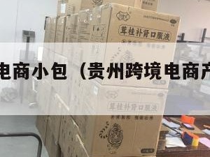 贵州跨境电商小包（贵州跨境电商产业有限公司）