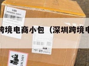 深圳宝安跨境电商小包（深圳跨境电商避坑表）