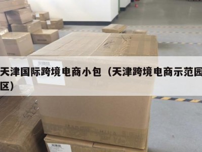 天津国际跨境电商小包（天津跨境电商示范园区）
