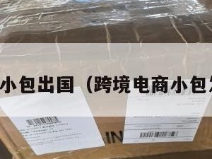 跨境电商小包出国（跨境电商小包发货货代）