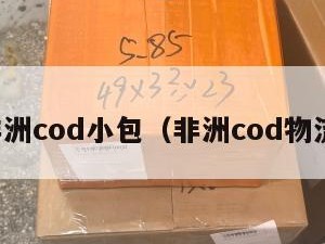 非洲cod小包（非洲cod物流）