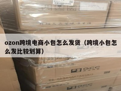 ozon跨境电商小包怎么发货（跨境小包怎么发比较划算）