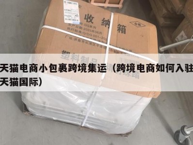 天猫电商小包裹跨境集运（跨境电商如何入驻天猫国际）