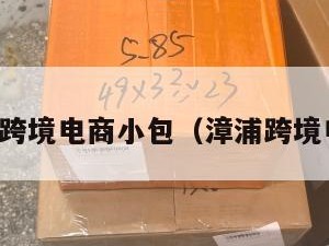 漳州跨境电商小包（漳浦跨境电商）
