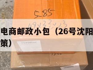 沈阳跨境电商邮政小包（26号沈阳对跨境电商扶持政策）
