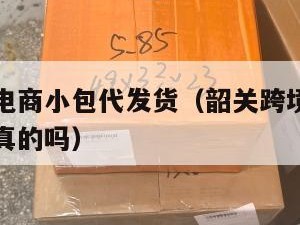 韶关跨境电商小包代发货（韶关跨境电商小包代发货是真的吗）