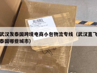 武汉发泰国跨境电商小包物流专线（武汉直飞泰国哪些城市）