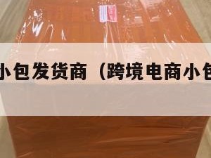 跨境电商小包发货商（跨境电商小包物流排行）