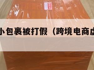 跨境电商小包裹被打假（跨境电商虚假发货有哪些处罚）