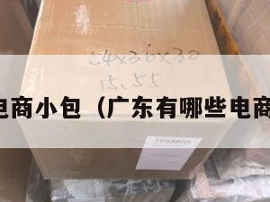 广东电商小包（广东有哪些电商平台）