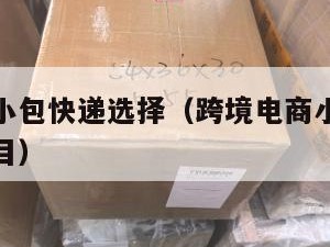 跨境电商小包快递选择（跨境电商小包快递选择什么类目）