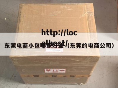 东莞电商小包哪家好些（东莞的电商公司）