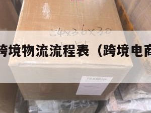 电商小包跨境物流流程表（跨境电商小包寄递特点）