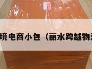 丽水跨境电商小包（丽水跨越物流电话）